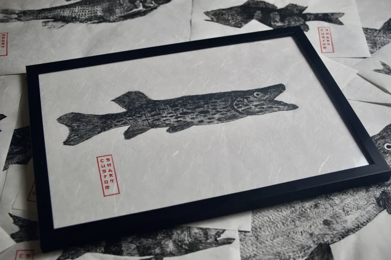 Odbitka gyotaku szczupaka w czarnej ramie, ułożona na tle innych rybich grafik.