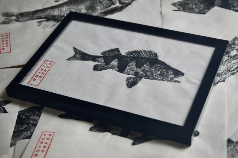 Odbitka gyotaku okonia w czarnej ramie, z czerwoną pieczęcią Custom Shark.
